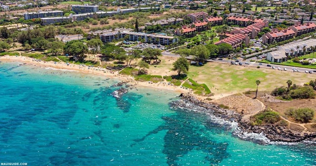 Penthouse 1 Bd King Suite With Ocean Views! Wailea  Eksteriør billede